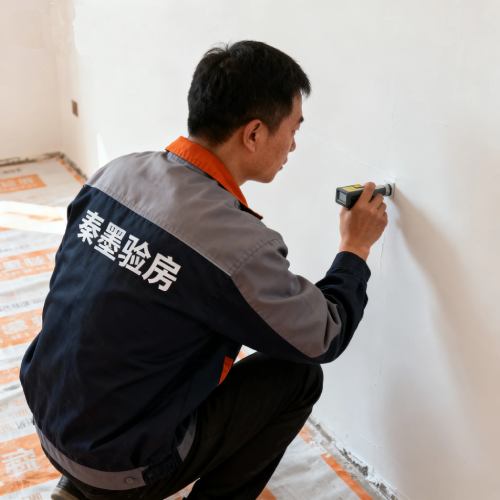 第3步：全屋深度检测